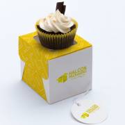 CupCake Boxes