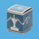 Slope-Top-Reverse-Tuck-End-Boxes1